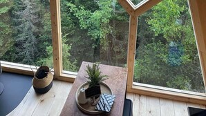 Une pièce dotée d’un plafond en bois, d’un ventilateur de plafond central et de grandes fenêtres donnant sur la forêt.