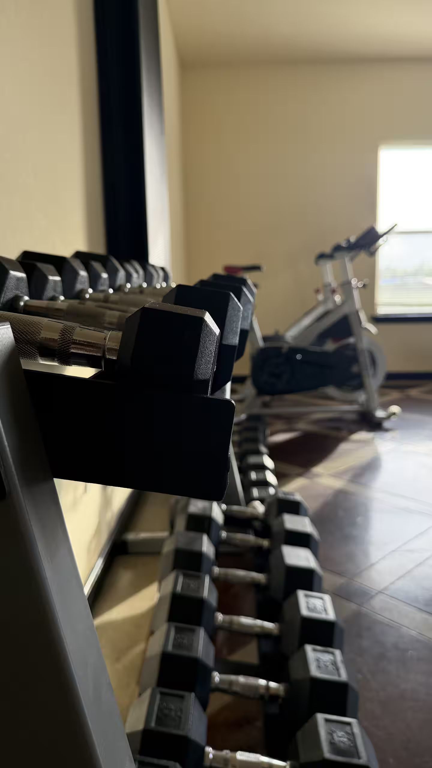 Una serie di manubri su un supporto in palestra.