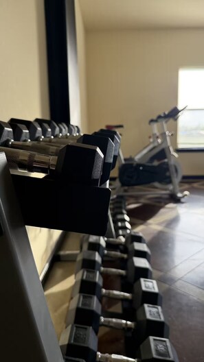 A row of dumbbells on a rack in a gym.