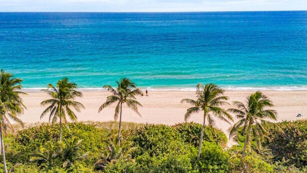 Une plage bordée de palmiers et aux eaux d’un bleu cristallin.