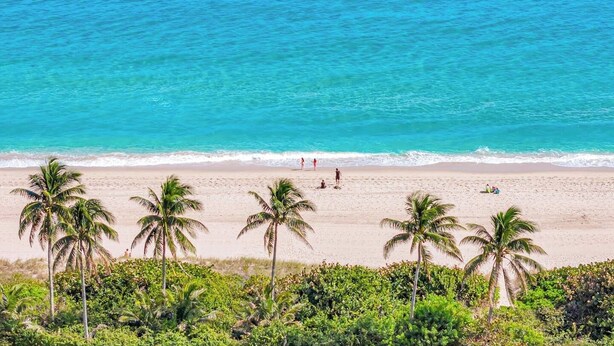A beach with palm trees and clear blue water. - Hawksbill 105 | Beach & Pool Studio | Walkable (Lauderdale-by-the-Sea)