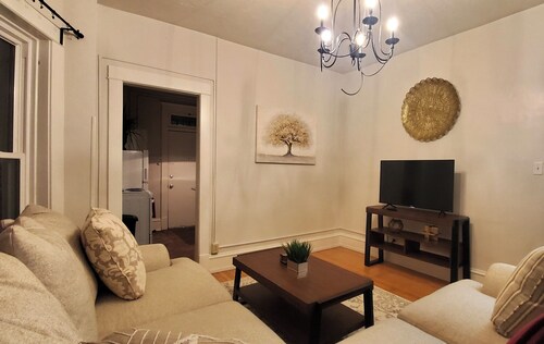 Sunny Open Dwntwn Apt with Fast WiFi