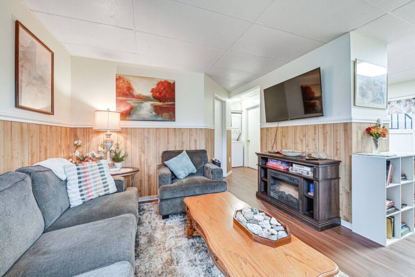 TV, fireplace