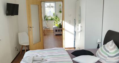 Apartment 'Altes Forsthaus Zwenkau' with Private Terrace and Wi-Fi