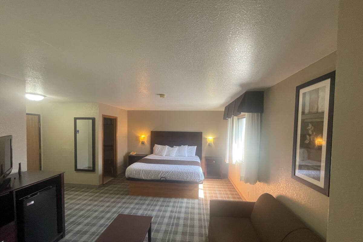 Una habitación de hotel con una cama, televisión, escritorio, sofá y espejo.