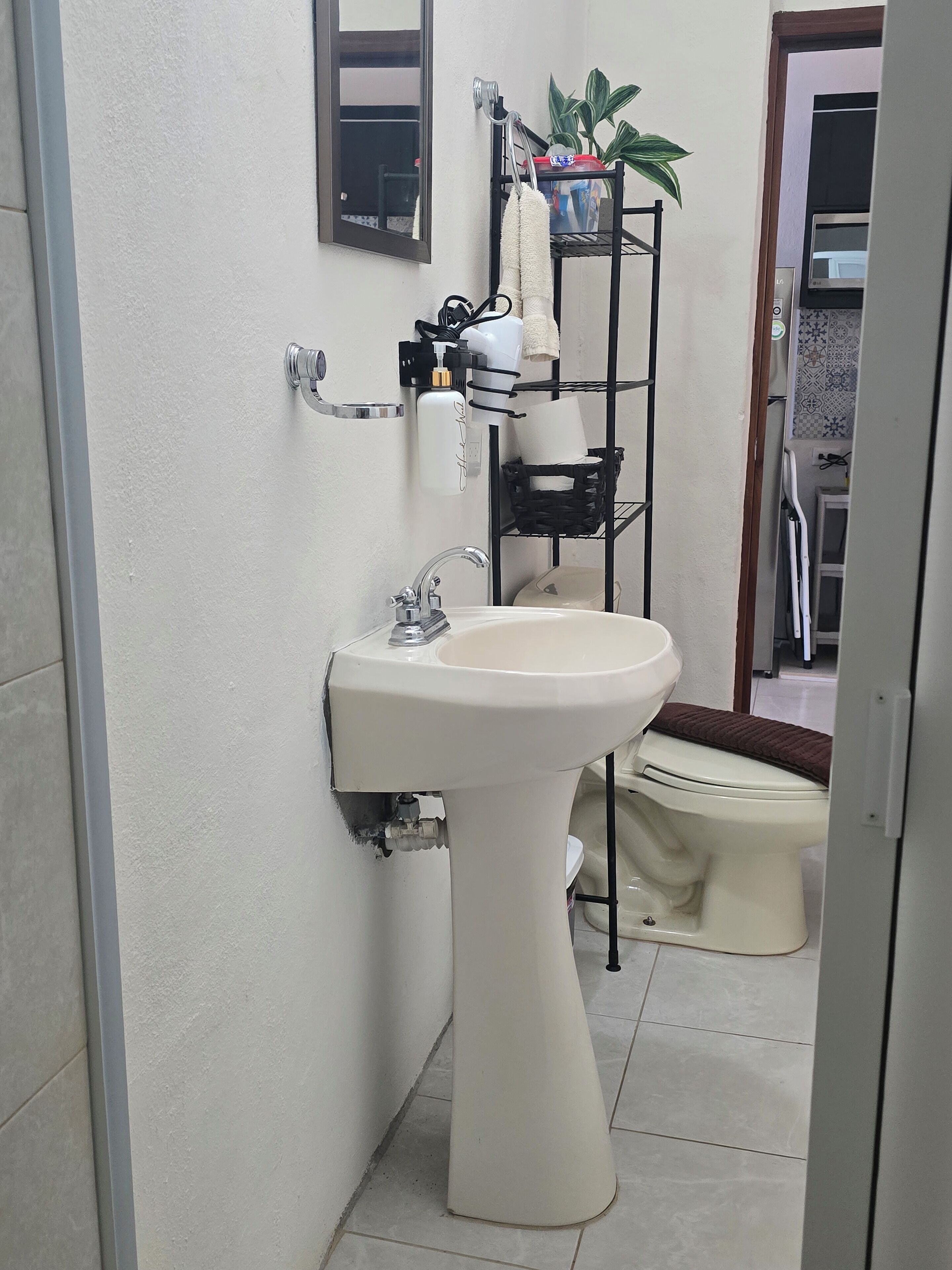 Un baño con lavamanos pedestal, inodoro y toallero con una planta.