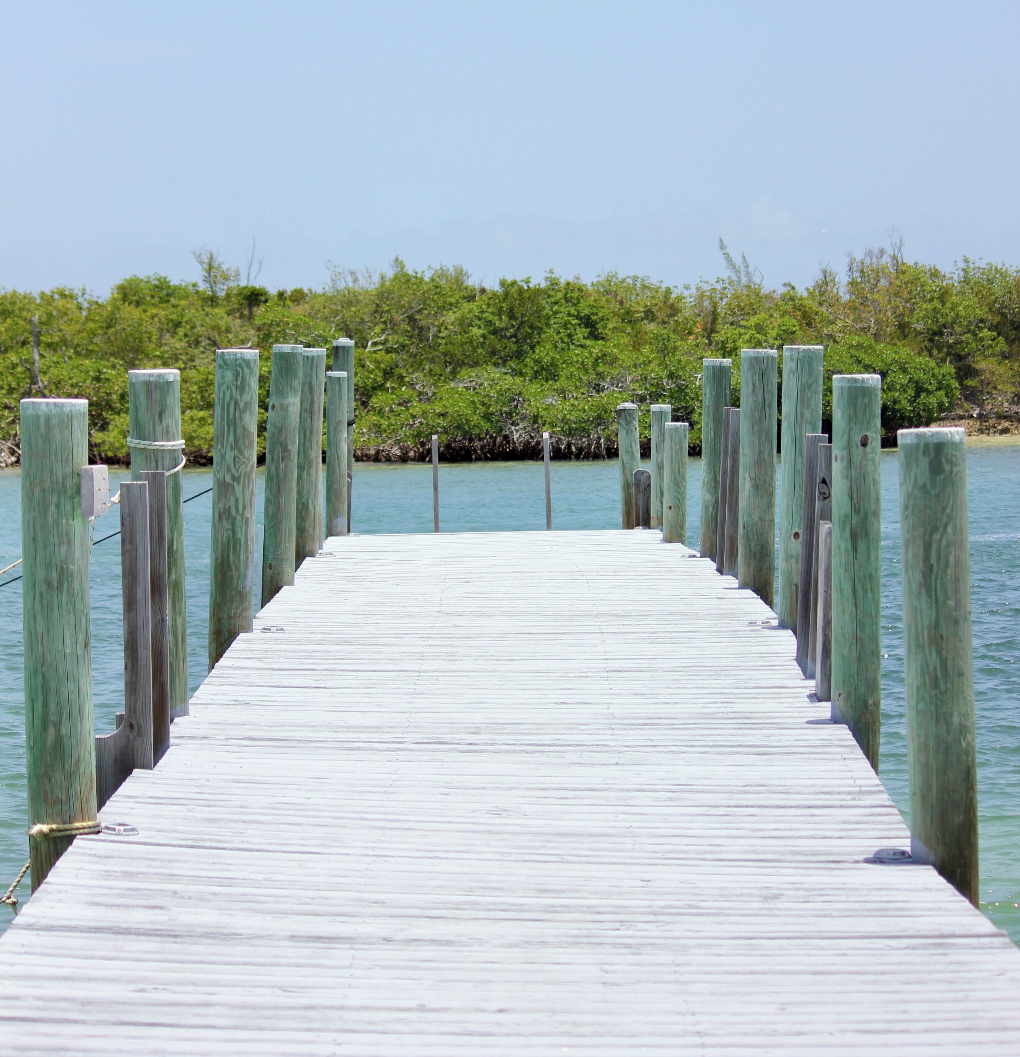 A wooden pier extending into calm waters, surrounded by dense green foliage.