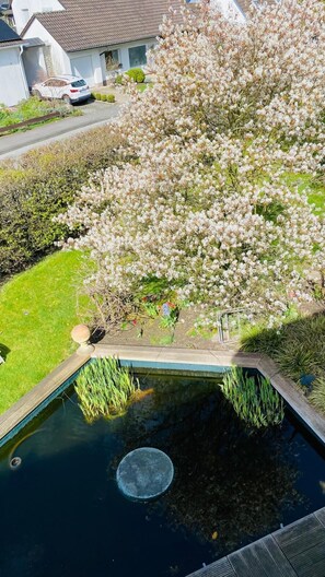 A residential area with a swimming pool, a white car, and a tree with white blossoms. - Relax or Work in Gevelsberg (Gevelsberg)