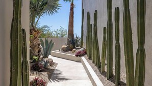 A pathway flanked by cacti and agave plants, leading to a palm tree and a building with a modern design. - Modern 4BR Villa with Rooftop & Pickleball (Los Barriles)
