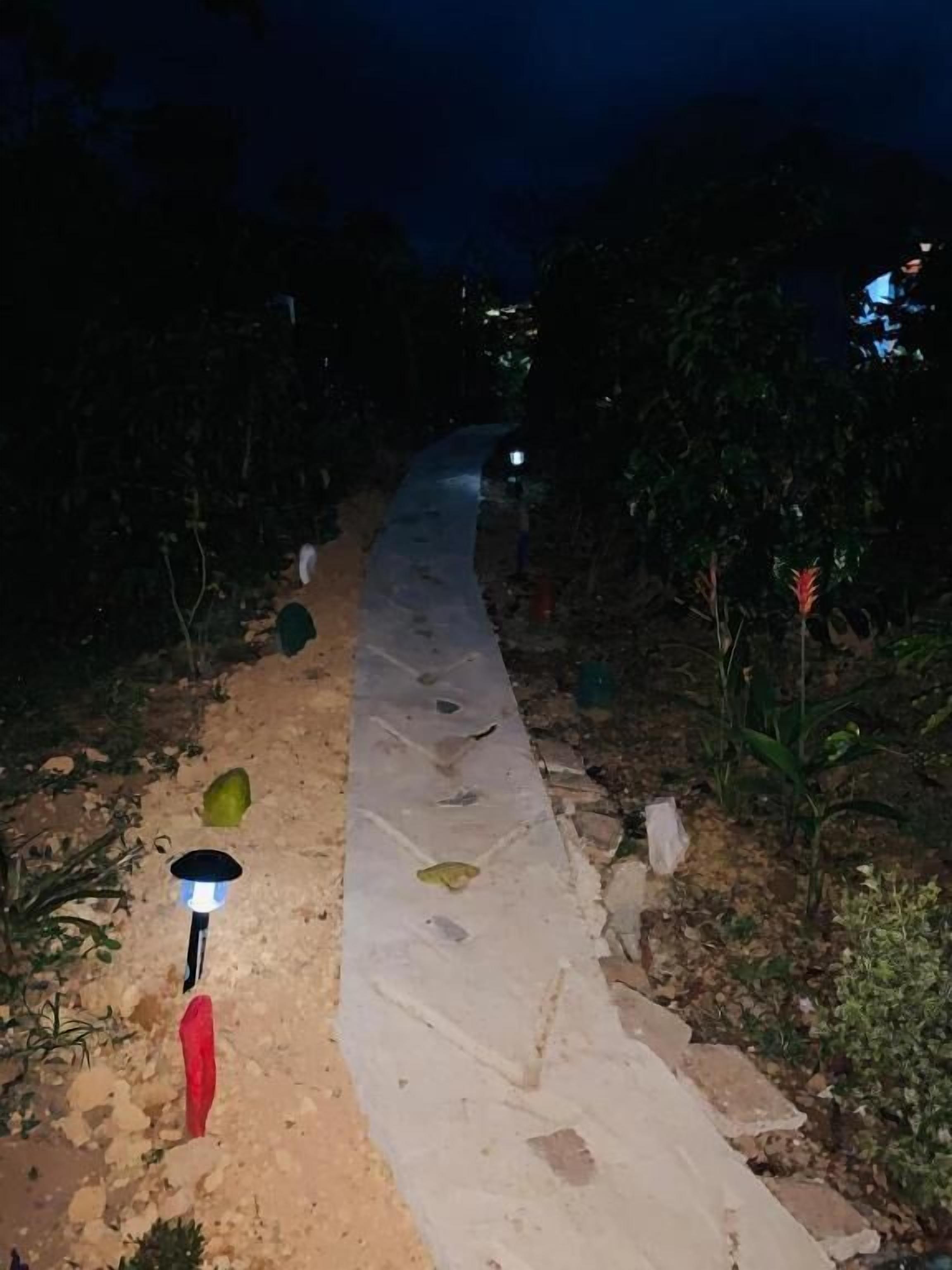 Un sendero nocturno con una farola y un objeto rojo en el suelo.