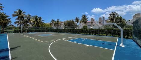 An outdoor basketball court with a clear sky, palm trees, and buildings in the background.