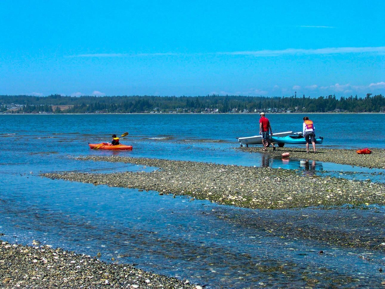 Nær stranden