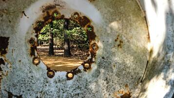 A close-up of a rusty metal surface with a circular hole revealing a forest scene.