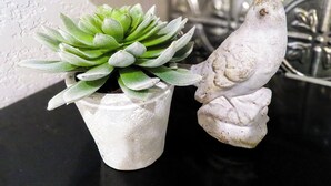 A succulent plant in a white pot and a white bird sculpture on a black surface. - Saint Jo Wine Country Barn - Walk to Blue Ostrich Winery (Saint Jo)