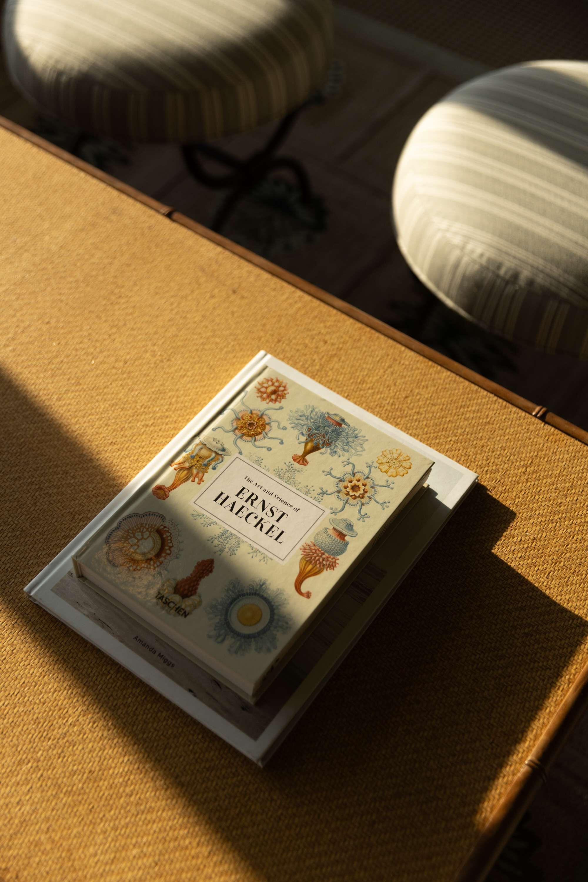 A book titled 'Ernst Haeckel' on a textured surface.