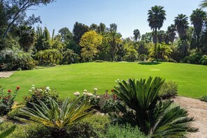 A well-maintained golf course with a clear path, surrounded by diverse vegetation and trees.