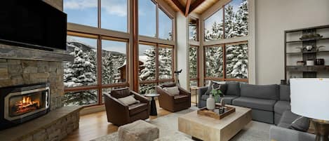 TV, fireplace, offices