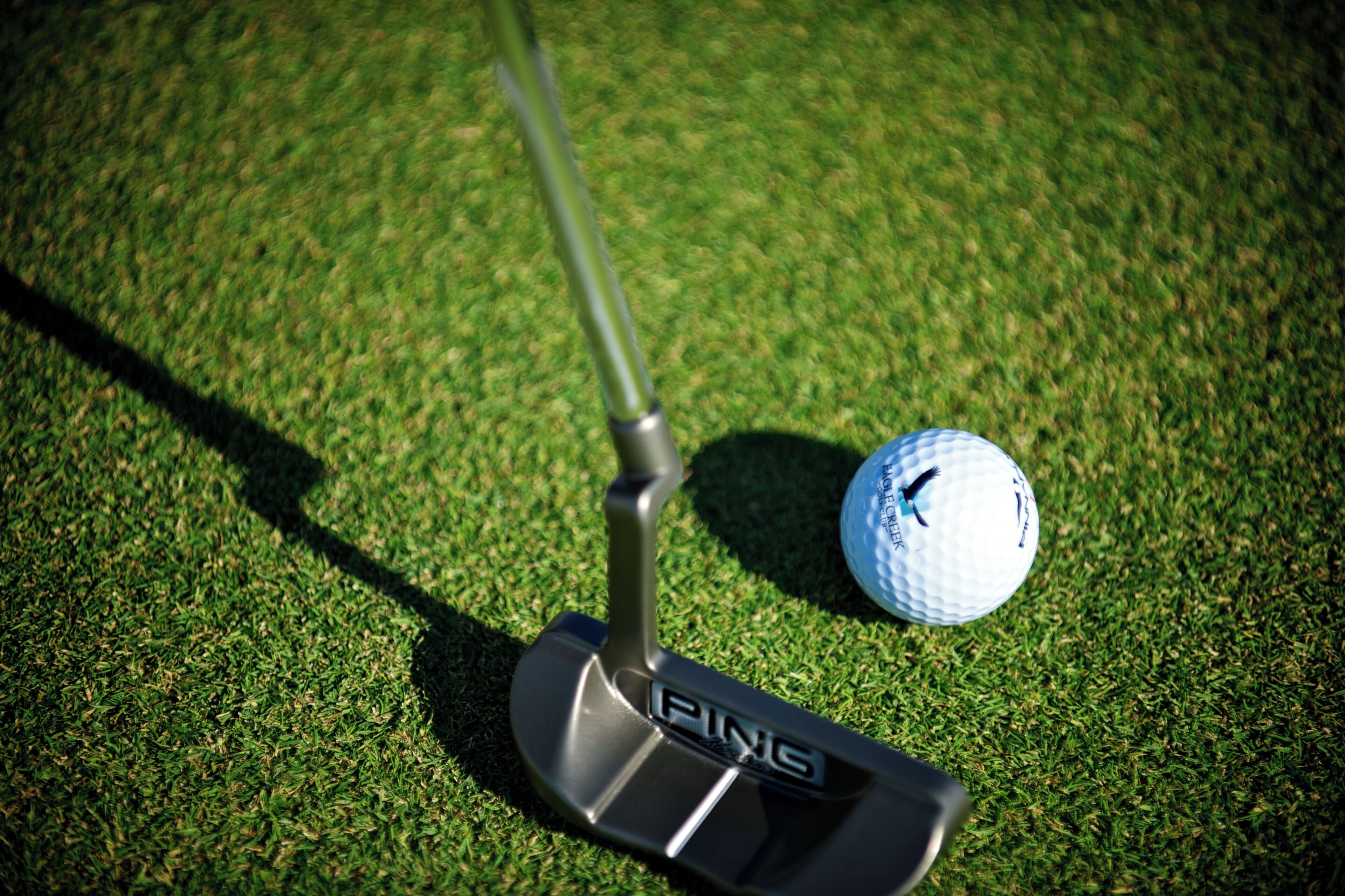 A golf club on a green with a golf ball.
