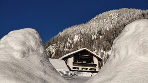 A mountain lodge with a wooden facade, surrounded by snow-covered trees and a clear blue sky. - Boutique appartementsKOFLER Apartment 2 (Mallnitz)