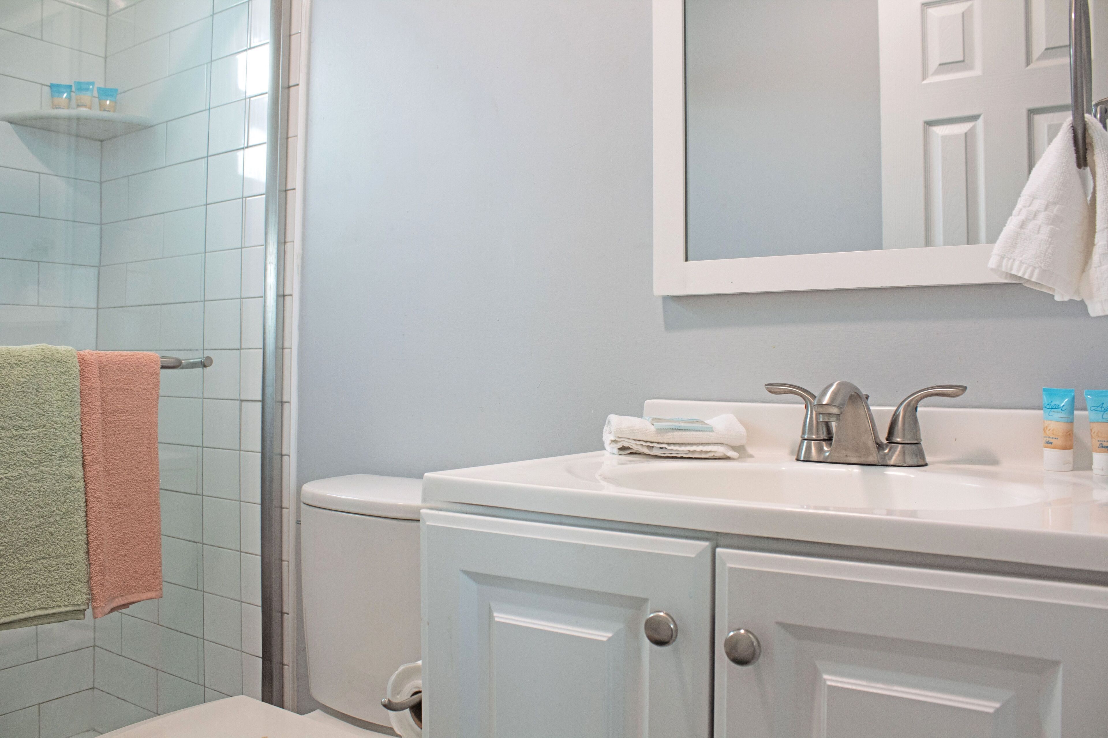 Bathroom with a white vanity, mirror, and tiled glass-enclosed shower.