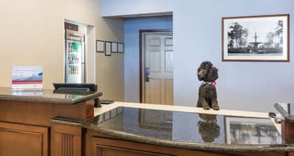 Accessible Studio w/ View, Roll Shower & Breakfast