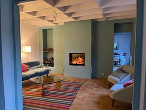 Una chimenea, videojuegos, un reproductor de DVD