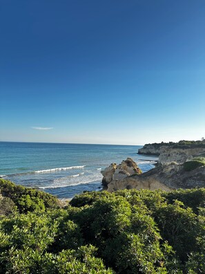 在海滩