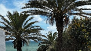 Vistes costaneres amb palmeres i un cel serè.