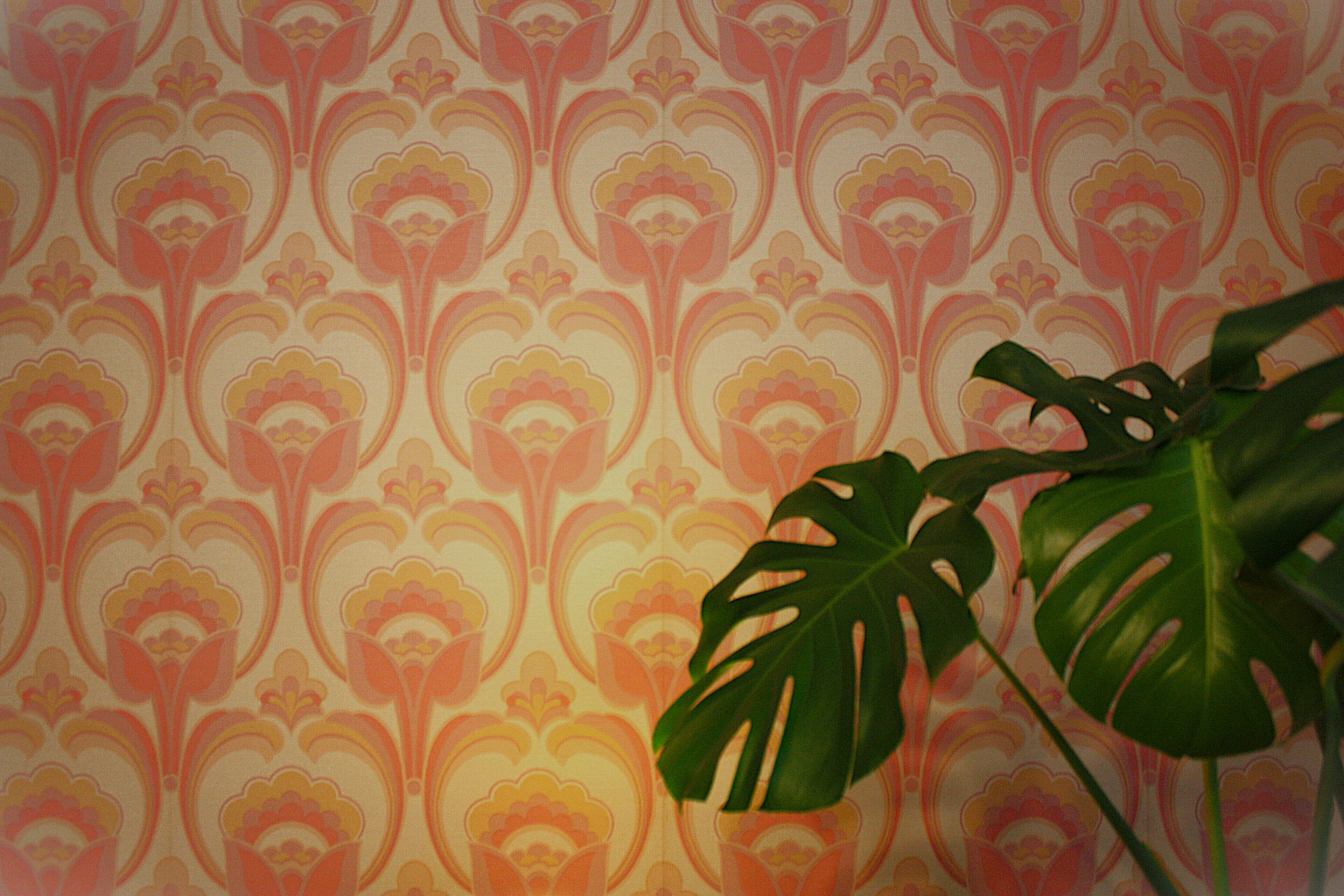 Un papier peint à motifs avec une plante au premier plan.
