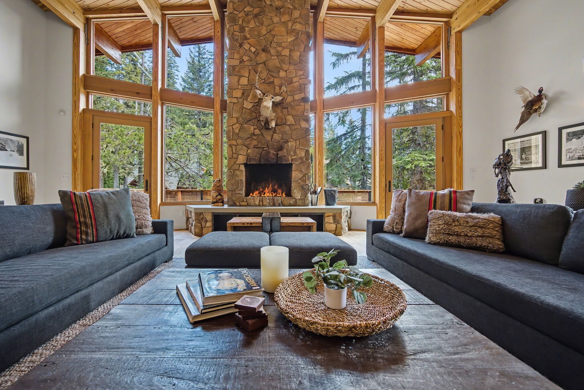 TV, fireplace, offices