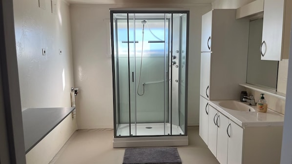 Shower, towels, toilet paper
