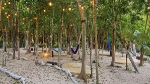 A natural setting with hammocks, trees, and string lights. - Casa Amaya - A comfortable place to enjoy the Riviera Maya with your family. (Puerto Morelos)