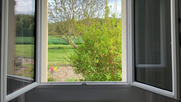 Janela com vista para um jardim e árvores.