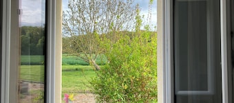 Quiet country house facing the forest, 1 hour from Paris