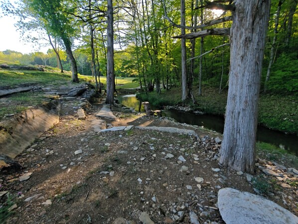 Un entorno natural al aire libre con un sendero de tierra, un pequeño arroyo y árboles circundantes.