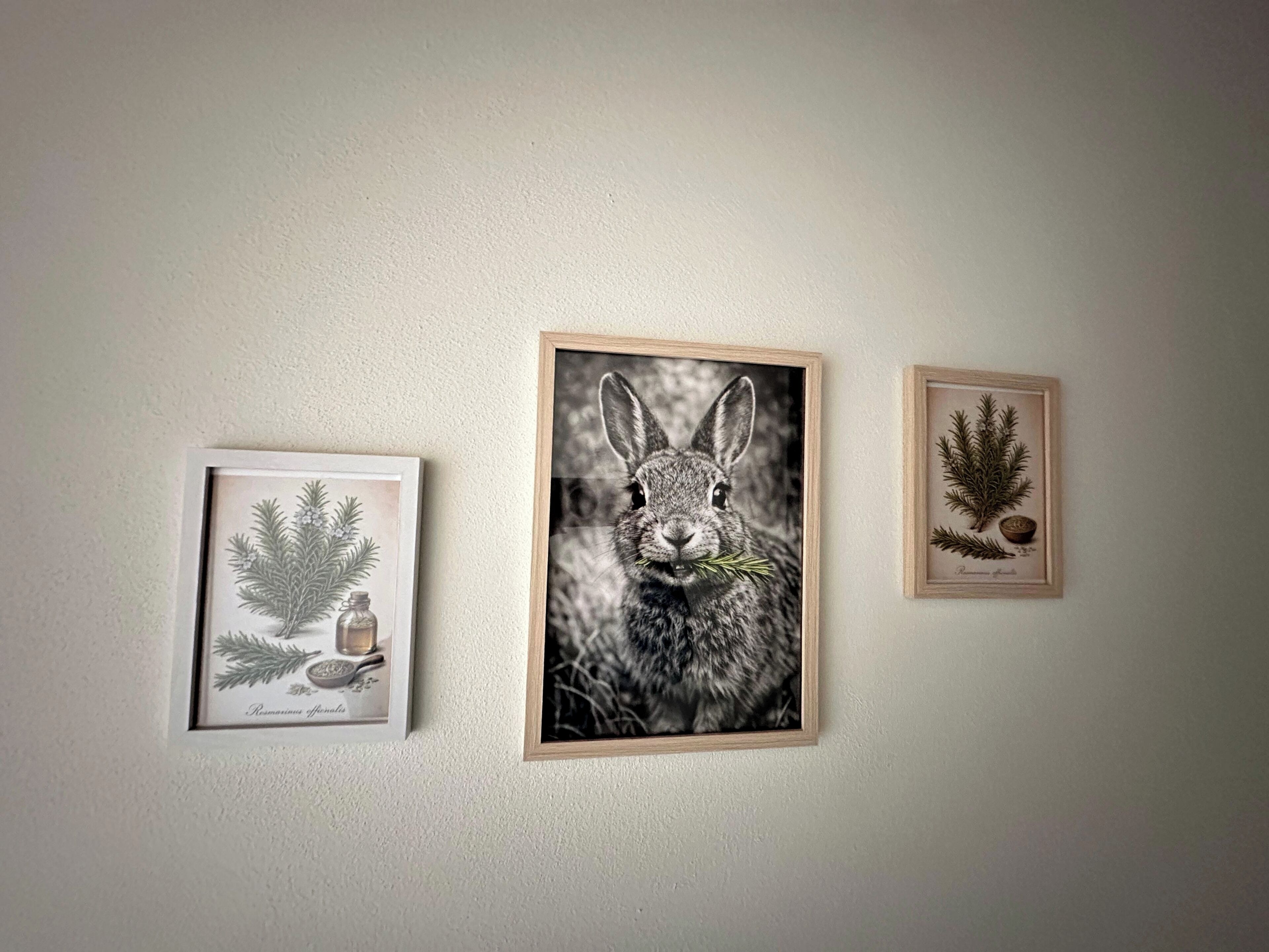 Détail de l’intérieur