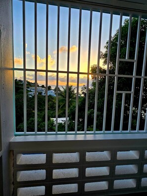 A window with vertical bars, a view of a sunset, and greenery outside.