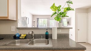 Una cocina con encimeras de granito, fregaderos de acero inoxidable, una planta en maceta y una ventana con persianas.