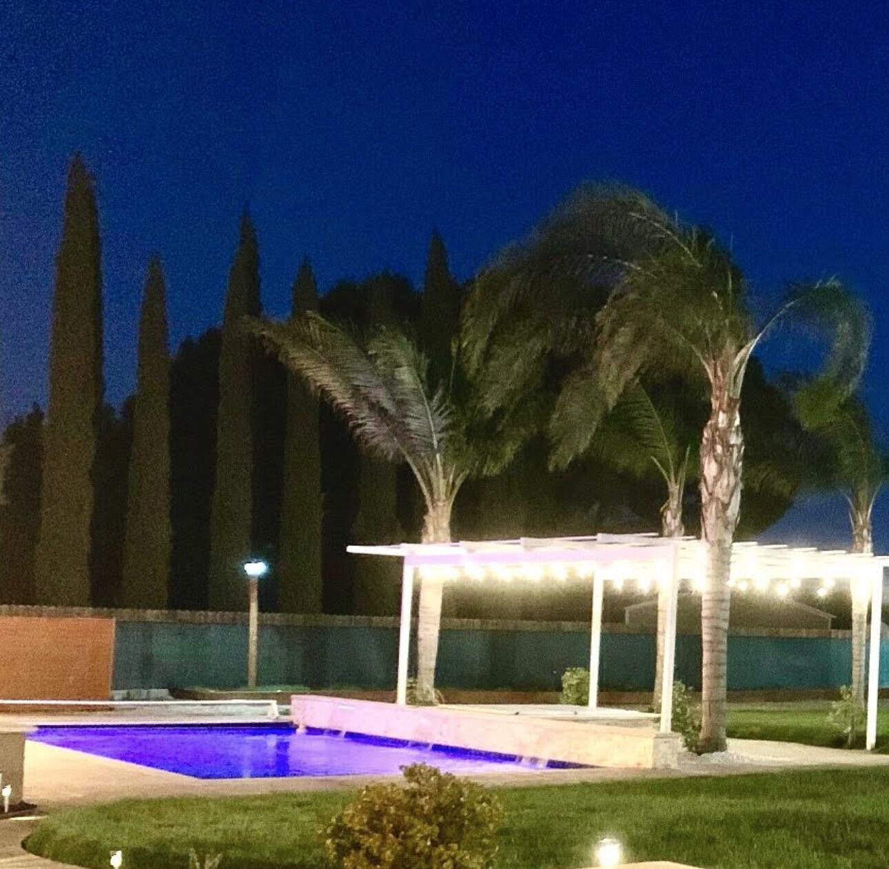 A swimming pool with a light blue color, surrounded by a grassy area and palm trees.