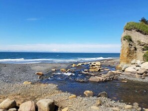 Beach - Kenai River Chrome Chasers 2BR Fisherman’s Escape (Soldotna)