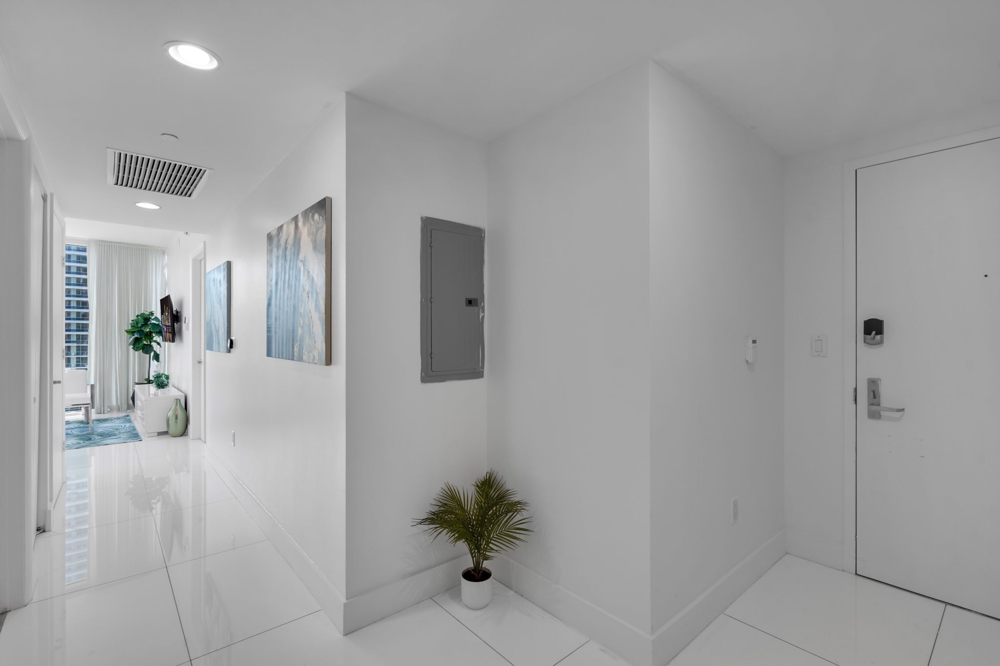 A modern hallway with white walls, a potted plant, and a door.