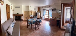 Ein gemütliches Wohnzimmer mit einer Couch, einem Esstisch mit Stühlen, einem Kamin und einer Küchenzeile inklusive Spüle und Schränken.