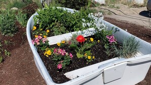 Un parterre con diversas flores y un asta de señales al fondo.