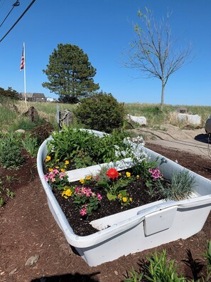 A garden bed with various flowers and a flagpole in the background. - Oceanfront 1-bedroom condo on North Beach with a pool! (Hampton)
