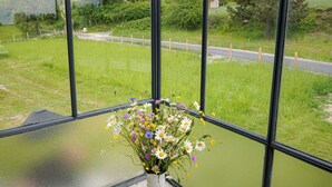 Ein Fenster mit Blick auf ein Wiesenfeld und eine Straße.