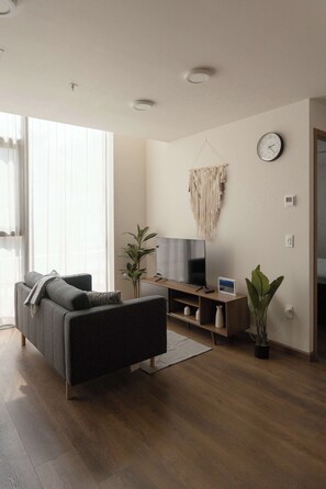 TV - Furnished 2 Bedroom Apartment in Mexico City (Mexico City)