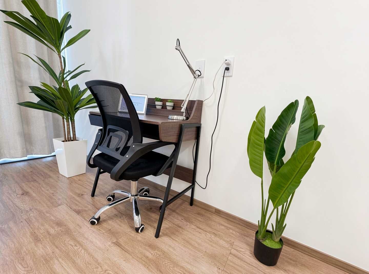 A modern office space with a desk, chair, computer, and two potted plants.