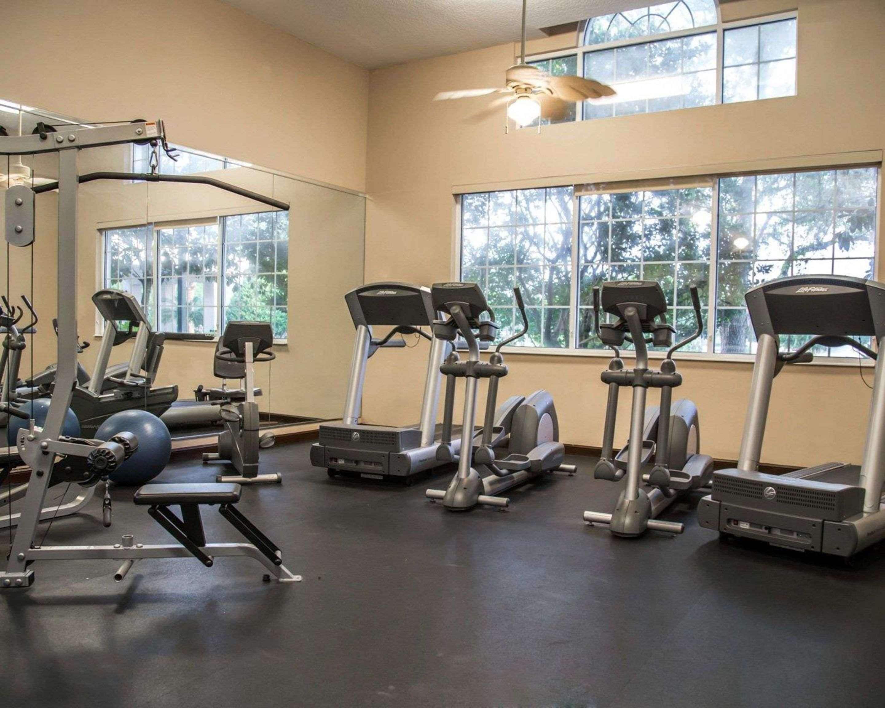 A gym with treadmills, elliptical machines, and weight equipment.