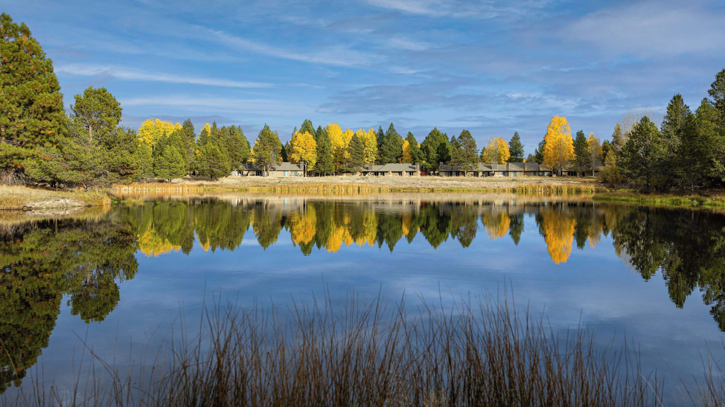 A tranquil lake with reflections of trees and a row of cabins.
