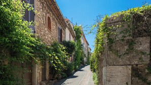 Une rue étroite bordée de bâtiments en pierre, dotés de volets et recouverts de lierre.
